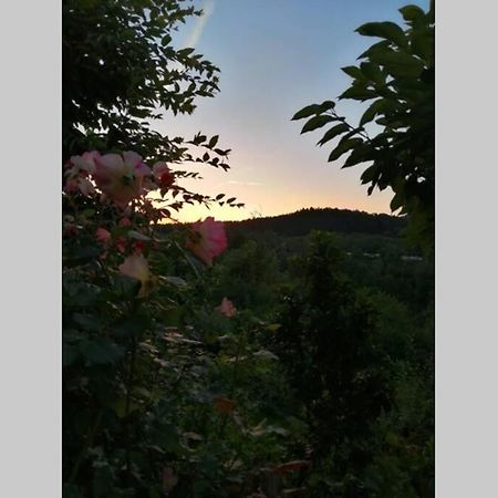 Nachhaltiges Wohnen In Seenaehe Schoemberg  Exteriör bild