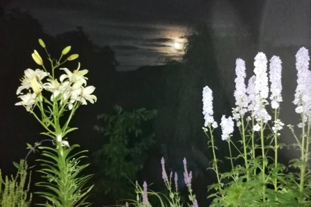 Nachhaltiges Wohnen In Seenaehe Schoemberg  Exteriör bild