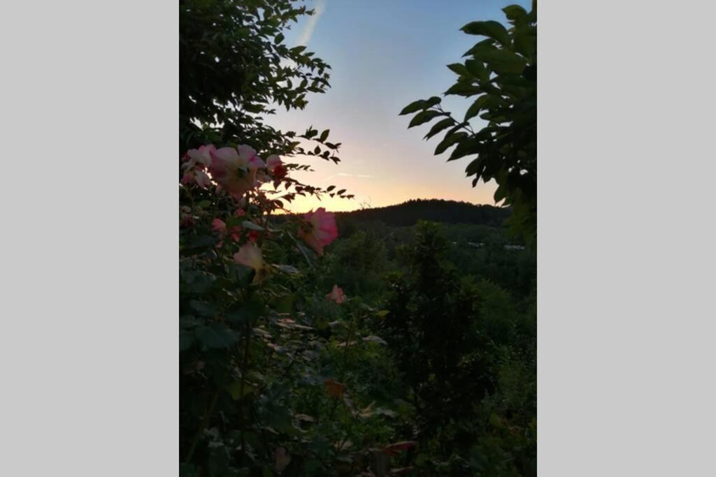 Nachhaltiges Wohnen In Seenaehe Schoemberg  Exteriör bild